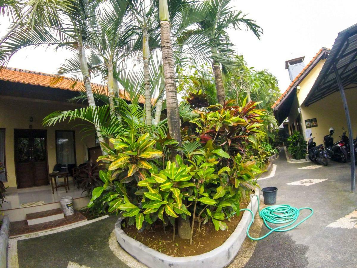 Putu Guest House Canggu Екстериор снимка